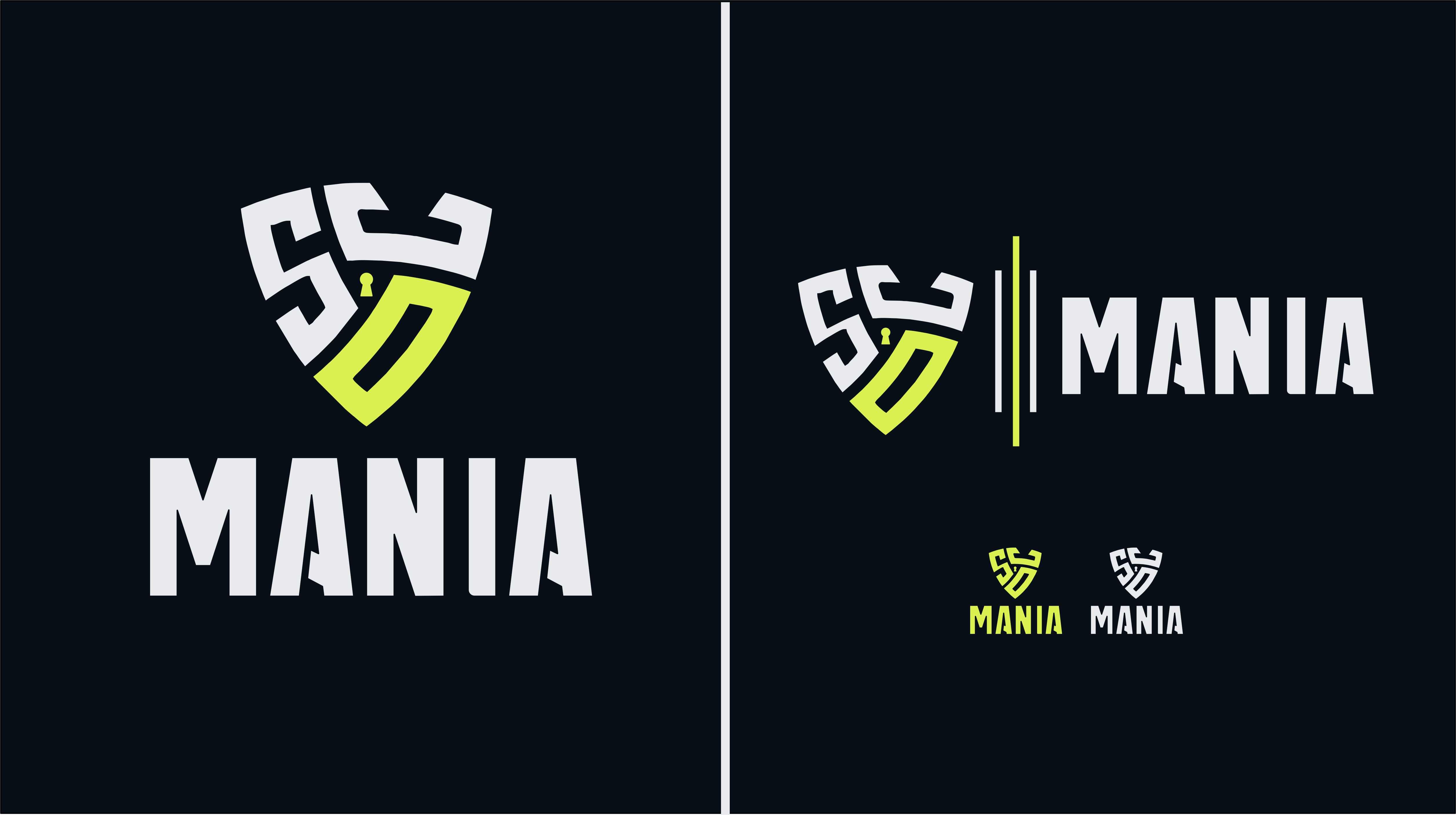 Logo Design Complete for cyber security industry. cyber logo lock logo security logo