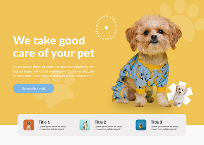 Pet Design Concept branding design graphic design typography ui uidesign ux