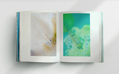 Art of The Ocean - Book Pages art artistic book book design design fish fish egg illustration layout minimalist nudibranch ocean octopus photography publication sea sea creature surrealism underwater underwater photography