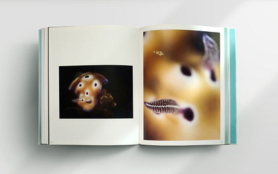 Art of The Ocean - Book Pages artistic book book design design fish fish egg illustration jellyfish layout minimalism minimalist nudibranch octopus photo book photography publication sea sea creature surrealism underwater photography