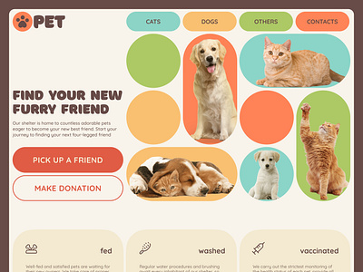 Pet shelter website creativeui design designiteration designui digitaldesign dribbbledesign dribbbleui figma main screen shelter ui uiinspiration uiux design uiuxdesign userinterface web design website