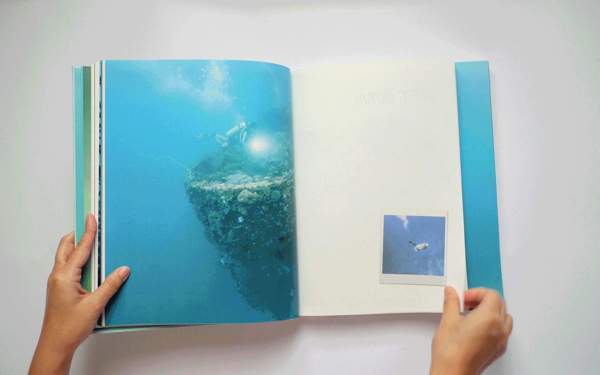 Art of The Ocean - Book Pages art artistic book book design design handwriting illustration insertion page journal layout minimalist ocean painting photo book photography publication sea surrealism underwater watercolor