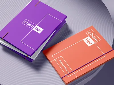 Naming & Branding Chemtier branding chemical chemistry graphic design logo logo design logotype naming orange design purple design wordmark