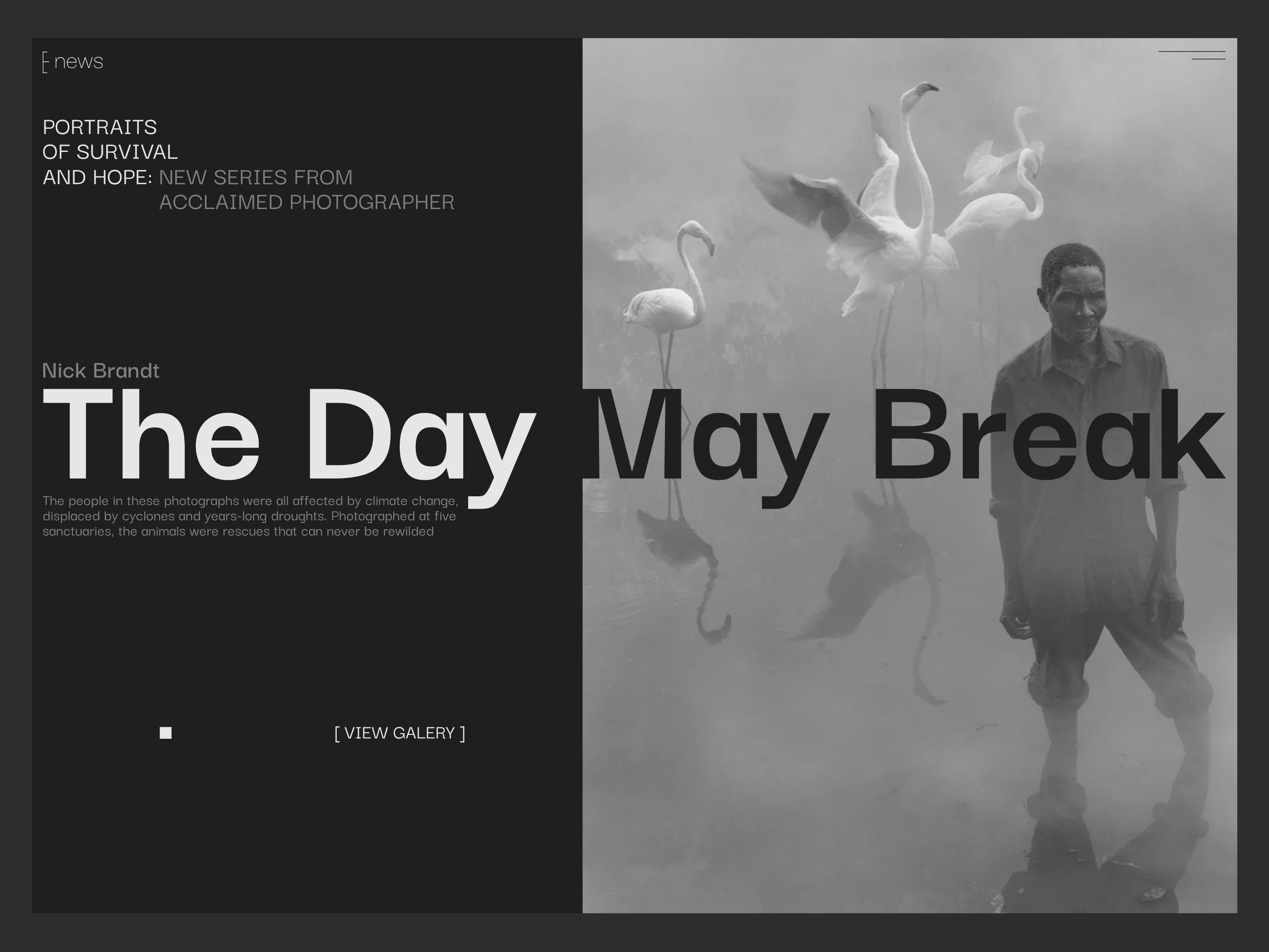 Website design on the theme of ecology branding composition creativeui design designinspiration digitaldesign dribbbledesign dribbbleui figma logo main screen minimaldesign ui uidesigner uipatterns uiux design uiuxdesign userinterface visualdesign web design
