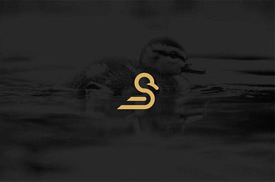 Duckling logo duck duckling duckling logo logo