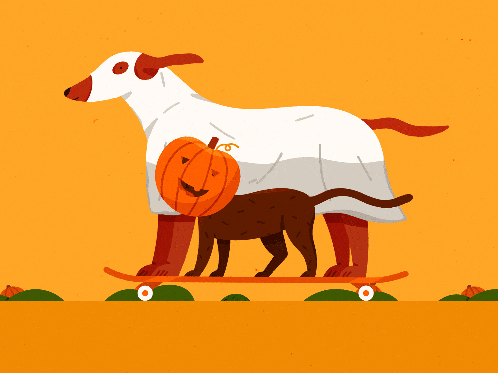 Spooky season aftereffects animation cat cute design dog gif graphic design halloween illustration motion graphics showreel spookyseason