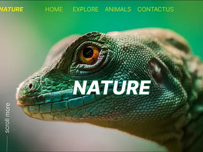 Nature 3d branding graphic design ui