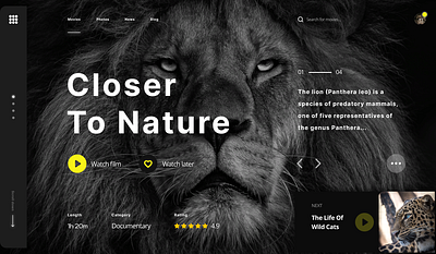 Lion, Nature, Landing, Лендинг, WEbsite animation branding design graphic design landing motion graphics page ui