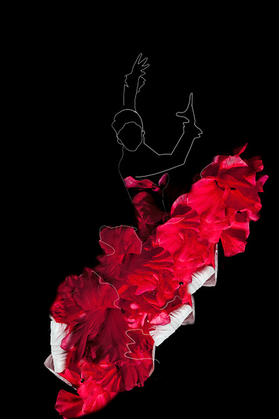 Flamenco dancer red dress flower flamenco dancer red dress flower