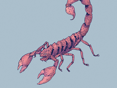 Inktober day 25: Dangerous alacran art cartoon character character design dangerous design drawing escorpion illustration inktober insect scorpion venom