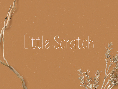 Little Scratch Thin Hand Drawn Font canva font cute font display font font hand drawn hand made font procreate font thin font type type design