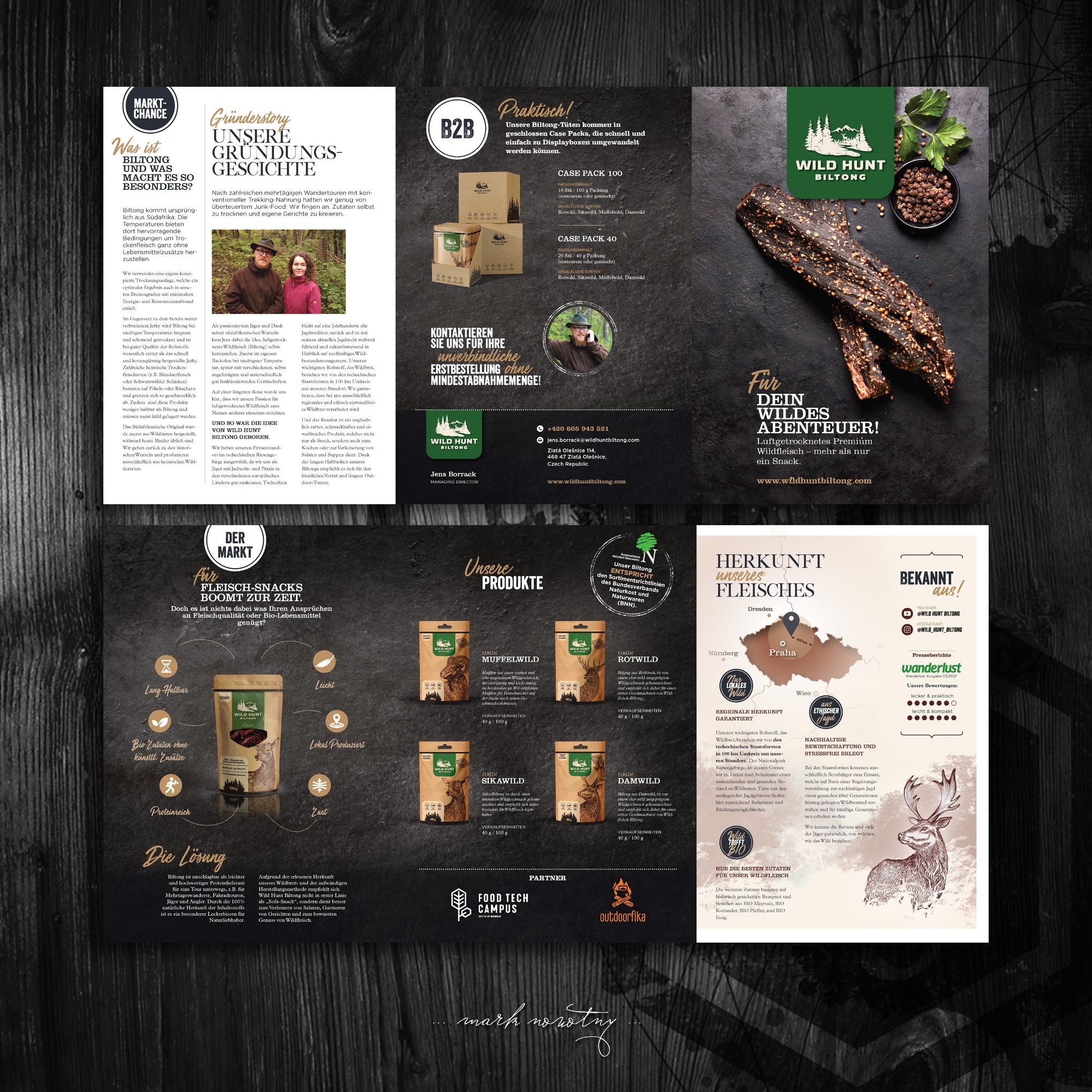 Brochure Design branding design graphic design illustration vector