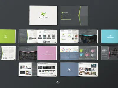 Brand Guide branding design graphic design illustration logo vector