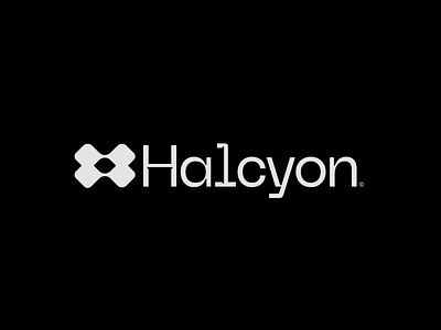 Halcyon branding design graphic design illustration logo logotype minimal typography ui vector