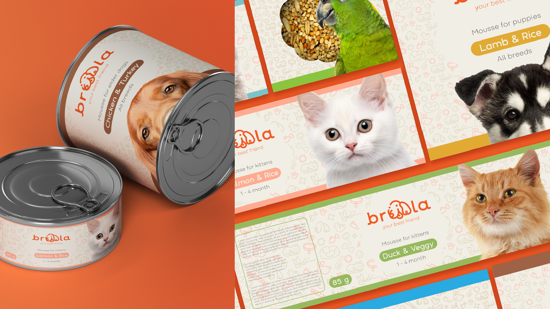Briciola Pet Shop Brand Design by Tiny Raven Creative Studio on Dribbble