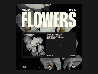 Poster exploration layout exploration poster