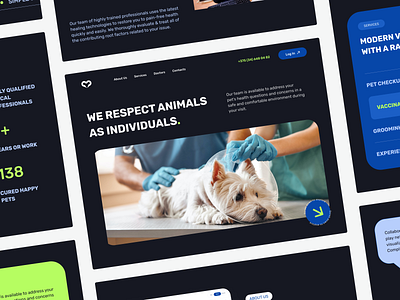 Vet Clinic Landing page design design landing ui vet website