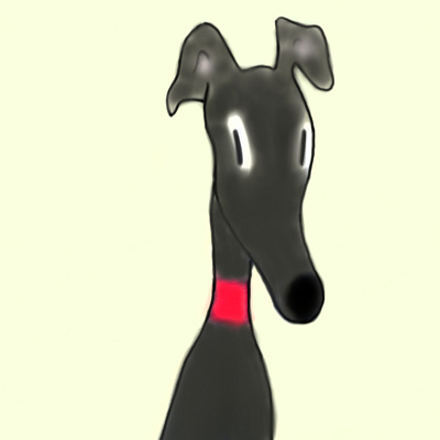 BLACK GREYHOUND black design dog greyhound illustration pet