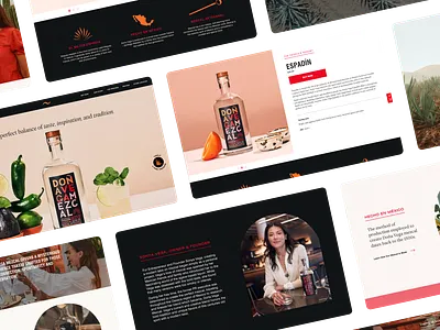 Mezcal Doña Vega Website Design layout ui web design website