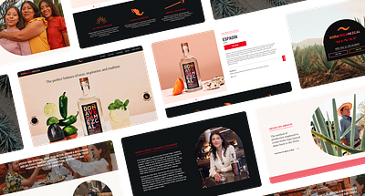 Mezcal Doña Vega Website Design layout ui web design website