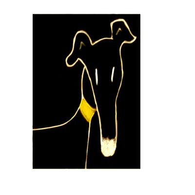 Black Greyhound black design dog greyhound illustration pets