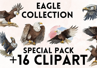 Eagle Clipart animal animals bird clip art clipart clipart png design eagle graphic design png