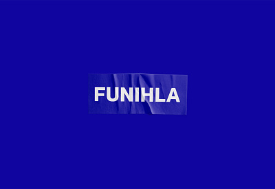 FUNIHLA blue brand identity branding poster studio type typography