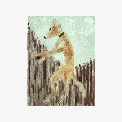 Ibizan Hounds brown design dog greyhound hound ibiza pets