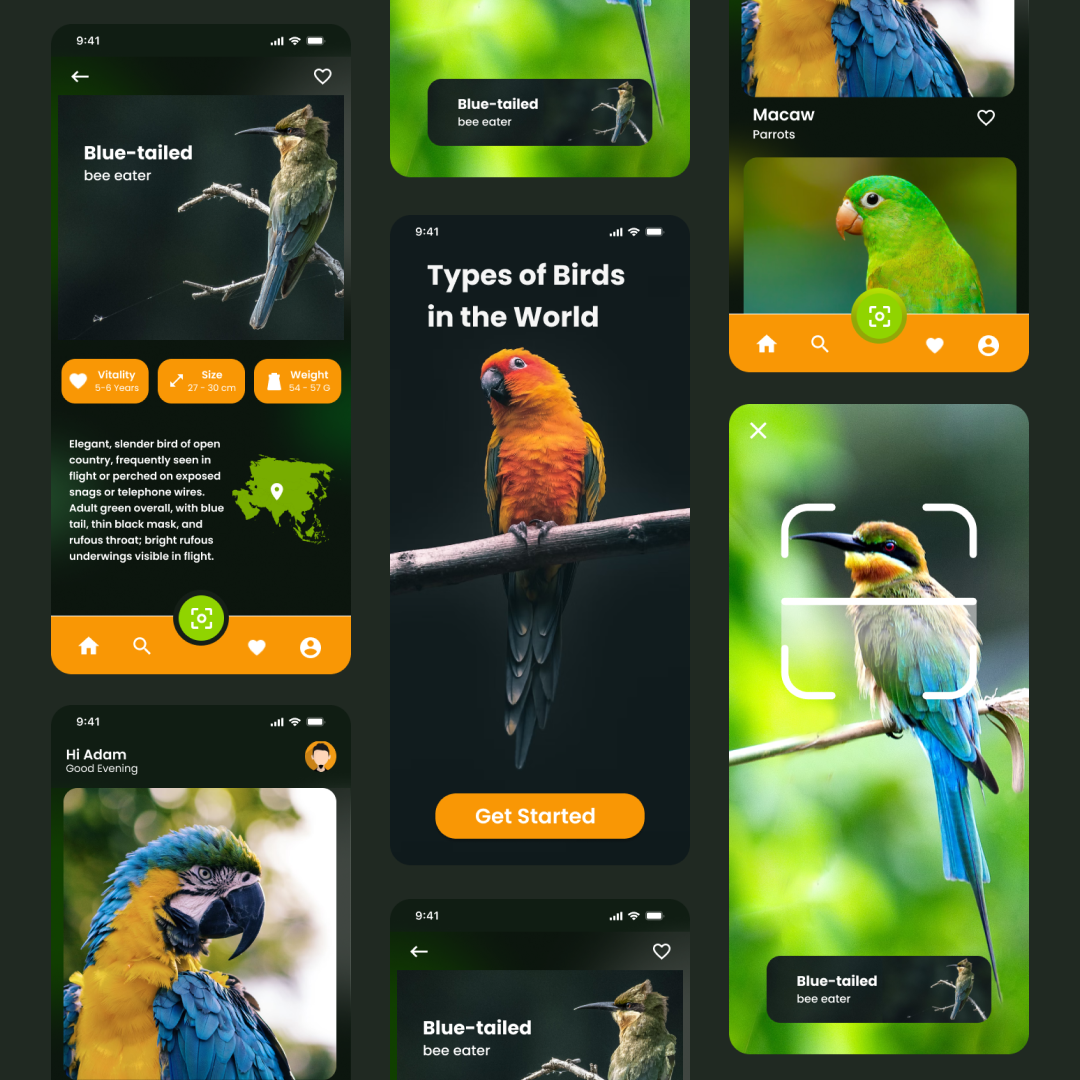 Type of Birds in the World by Muhammad Nur on Dribbble