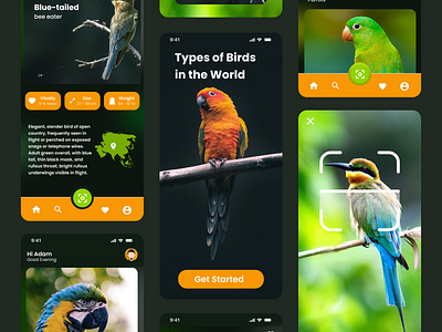 Type of Birds in the World birds burung figma green indoneasia mobile design mockup phone prototype ui web design website