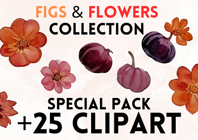 Figs & Flowers Clipart clip art clipart clipart png design fig figs flower flowers graphic design illustration png