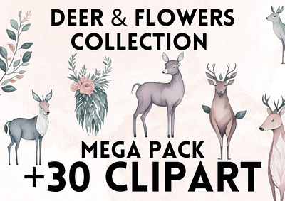 Deer & Flower Clipart animal animals clip art clipart clipart png deer design flower flowers graphic design illustration png rose roses