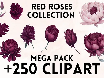 Red Roses Clipart clip art clipart clipart png design flower flowers graphic design illustration motion graphics png red rose rose roses