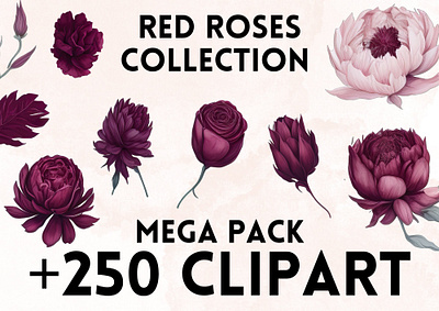 Red Roses Clipart clip art clipart clipart png design flower flowers graphic design illustration motion graphics png red rose rose roses