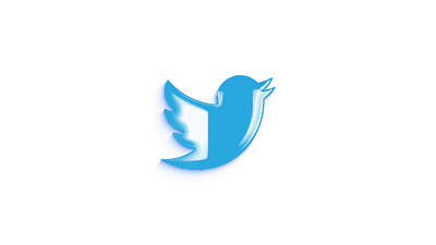 Twitter logo animation animation branding graphic design logo motion graphics
