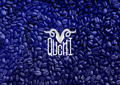 Quchi Coffee brand design branding graphic design identity identity design logo logo design social media