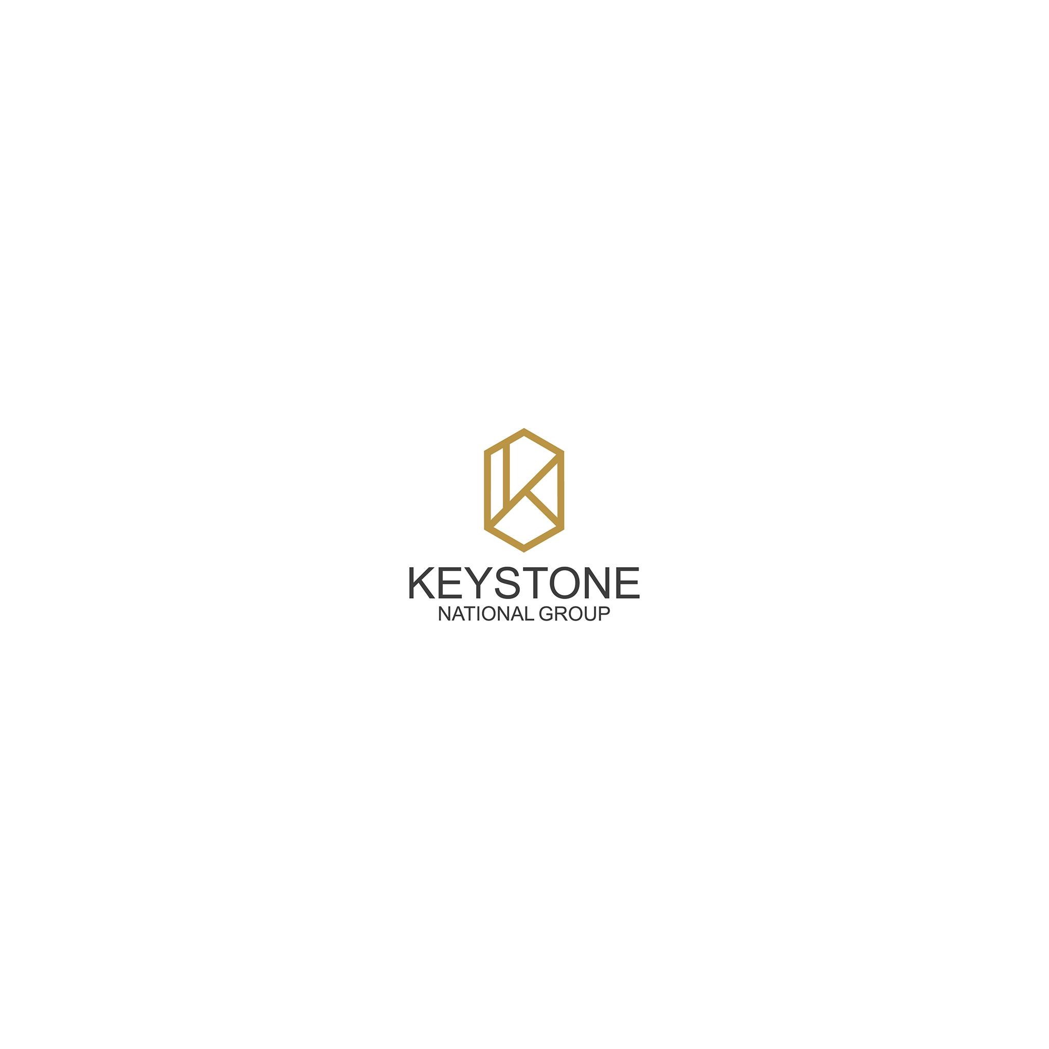 Keystone National Group branding design graphic design illustration logo vector