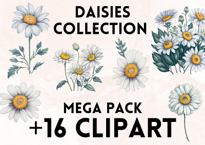 Daisy Clipart clip art clipart clipart png design flower flowers graphic design illustration png rose roses