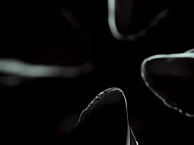 adidas 🔊 On 3d adidas agx animation blender branding color logo motion graphics work