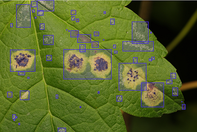 Identifying the crop failure part using bounding box. ai cvat data annotation data labeling images annotation images labeling itsmeshohan kili labelbox machine learning