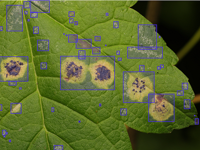 Identifying the crop failure part using bounding box. ai cvat data annotation data labeling images annotation images labeling itsmeshohan kili labelbox machine learning