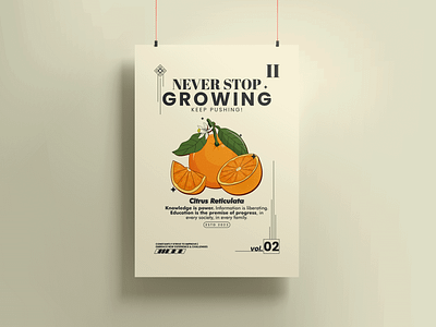 Never stop growing branding daily inspiration design design for sell graphic graphic design graphic poster illustration inspiration motivational poster motivational quotes orange poster poster quote quotes ui ux vector
