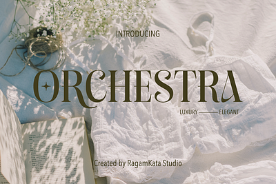 Orchestra - Modern Elegant Serif vintage