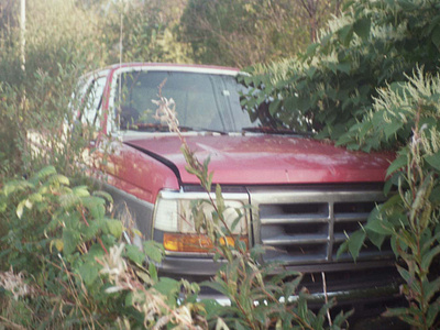 Overgrown ford truck autochinon cars film ford overgrown photography