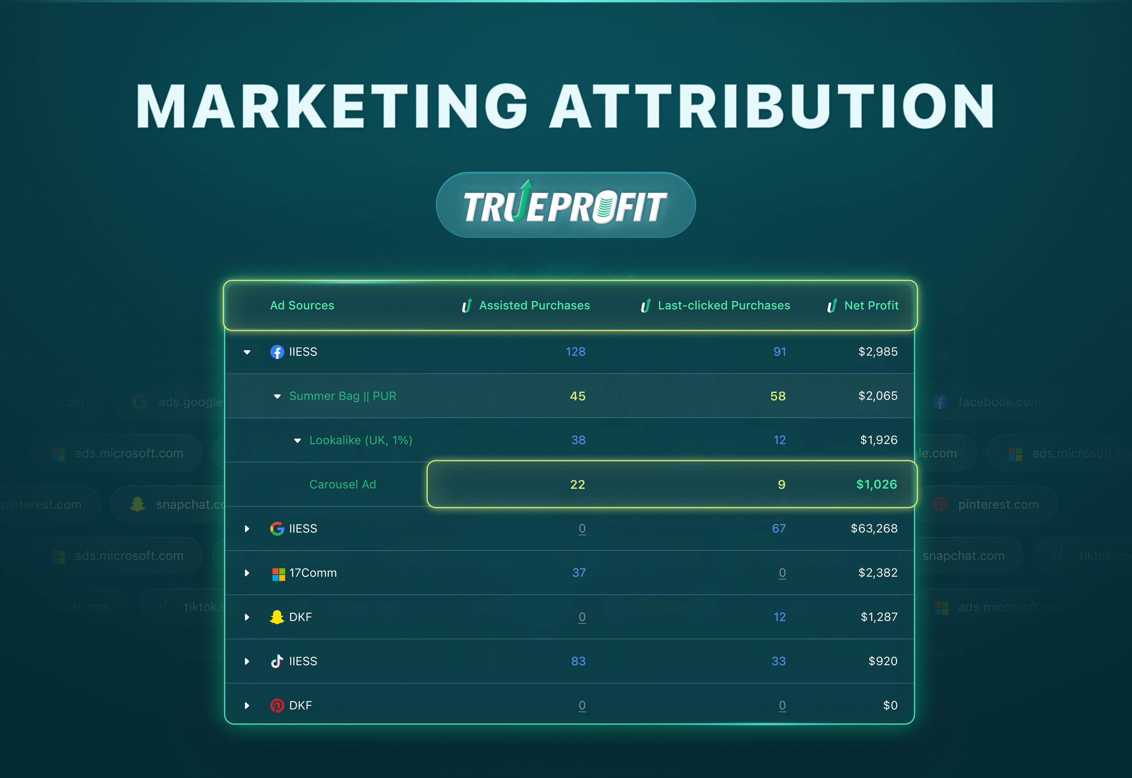 Marketing Attribution by TrueProfit accordion application case study dashboard figma product design table ui ui designer uxui web app website