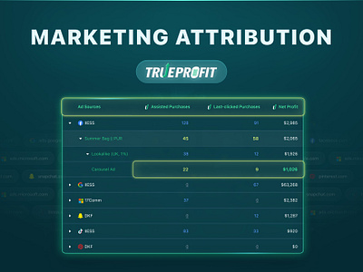 Marketing Attribution by TrueProfit accordion application case study dashboard figma product design table ui ui designer uxui web app website