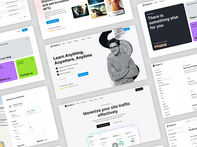 Riddle UI - Figma Design System dashboard design design system design ui figm ui kit figma figma ui framer ui hero section landing page landing pages minimalist one page product design ui ui kit ui kit design uikit ux