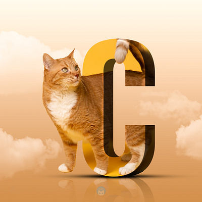 C + Cat c cat design ilustration manipulation photoshop