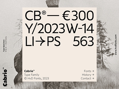 Cabrio — Type Family design font fonts graphic design hvd sans sanserif typedesign typeface typography