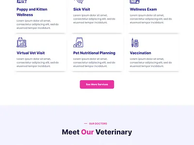 Veterinary Services Website Design for $300 elementor graphic design vet veterinary webdesign wordpress